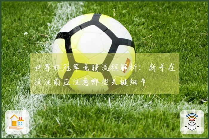 世界杯冠军竞猜流程解析：新手在投注前应注意哪些关键细节