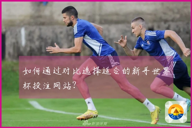 如何通过对比选择适合的新手世界杯投注网站？